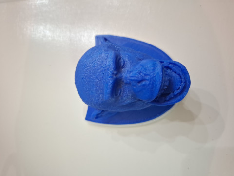 黑猩猩狩猎奖杯 3D 打印模型