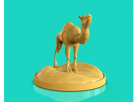 Camel Dromedary 3D Print Model