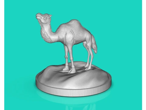 Camel Dromedary 3D Print Model
