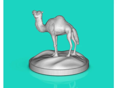Camel Dromedary 3D Print Model