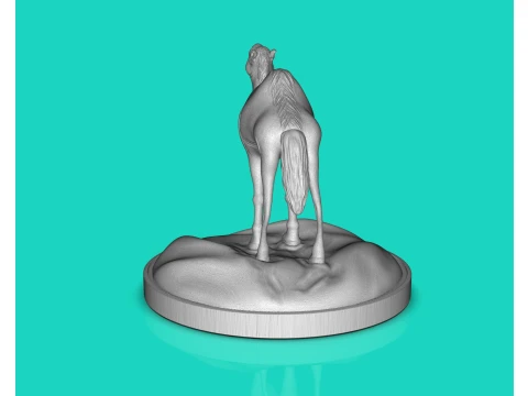 Camel Dromedary 3D Print Model