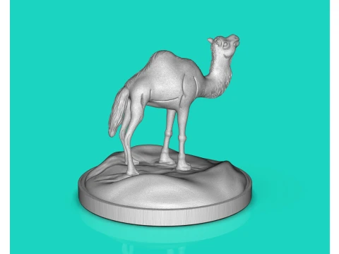 Camel Dromedary 3D Print Model