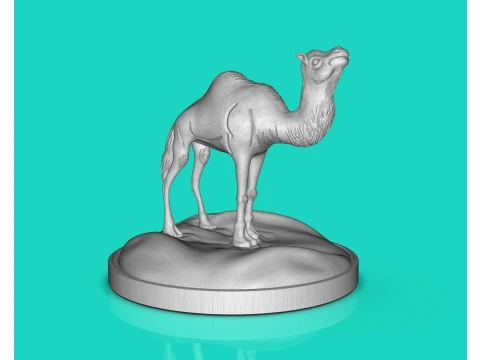 Camel Dromedary 3D Print Model