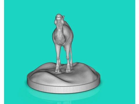 Camel Dromedary 3D Print Model
