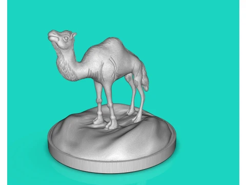 Camel Dromedary 3D Print Model