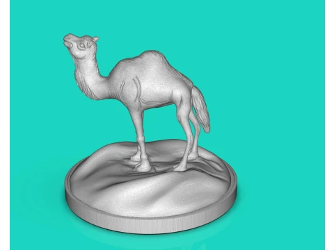 Camel Dromedary 3D Print Model