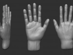 model dłoni w pozycji do olinowania Model 3D