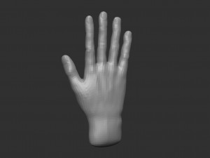 model of a hand in a pose for rigging 3D Model