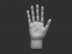 model of a hand in a pose for rigging 3D Model