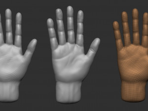 model of a hand in a pose for rigging 3D Model