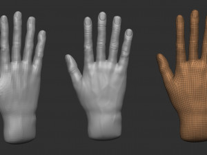 model of a hand in a pose for rigging 3D Model