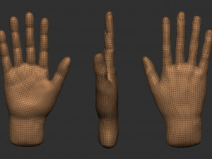 model of a hand in a pose for rigging 3D Model