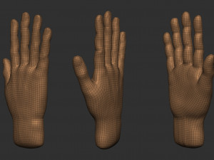 model of a hand in a pose for rigging 3D Model