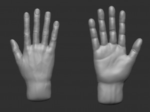 model of a hand in a pose for rigging 3D Model