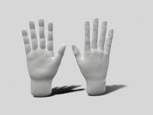 model of a hand in a pose for rigging 3D Model
