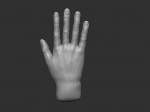 model of a hand in a pose for rigging 3D Model