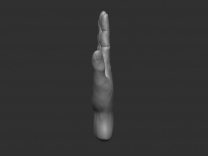 model of a hand in a pose for rigging 3D Model
