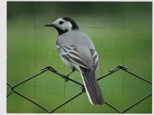 set of childrens puzzles 3D Model
