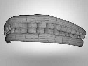 viking 3D Model