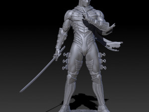Ryu Hayabusa - 3D Printable 3D 프린트 모델