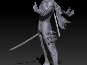Ryu Hayabusa - 3D Printable 3D 프린트 모델