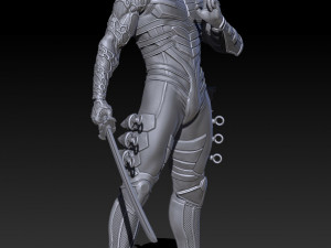 Ryu Hayabusa - 3D Printable 3D 프린트 모델