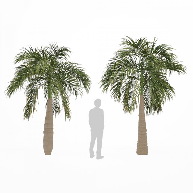 bottle palm tree set 3D-Modell .c4d .max .obj .3ds .fbx .stl .blend 