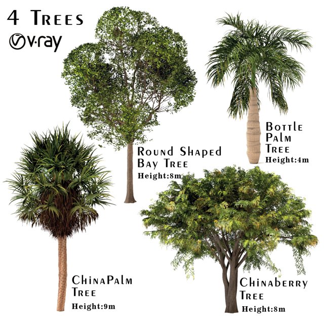 set of trees china palm chinaberry round shaped bay and bottle palm tree 3D मॉडल .c4d .max .obj .3ds .fbx .stl .blend 