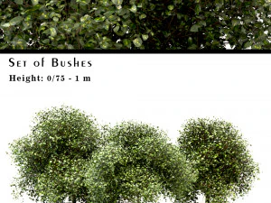 conjunto de buchas buxus - 3 tamanhos Modelo 3D