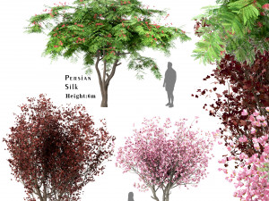 set of trees red maple chinese magnolia persian silk 3D Model