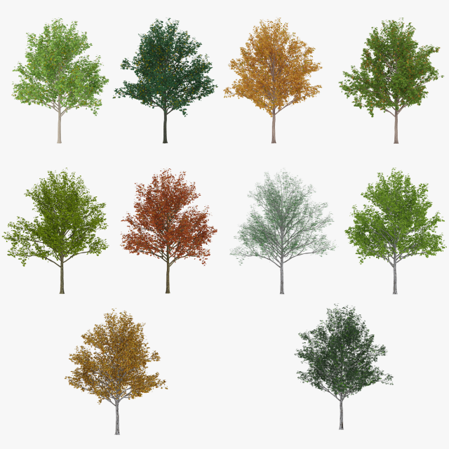 tree 1 3D Модель .c4d .max .obj .3ds .fbx .stl .blend 
