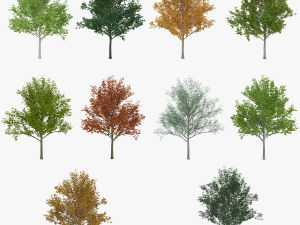 tree 1 Modelo 3D