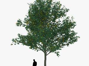 tree 1 3D Модель