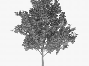 tree 1 3D Модель