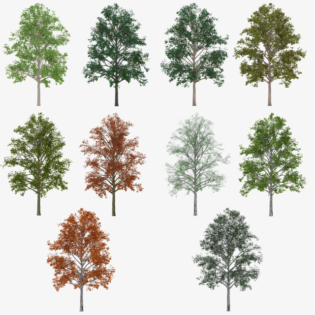 tree 2 3D Model .c4d .max .obj .3ds .fbx .stl .blend 