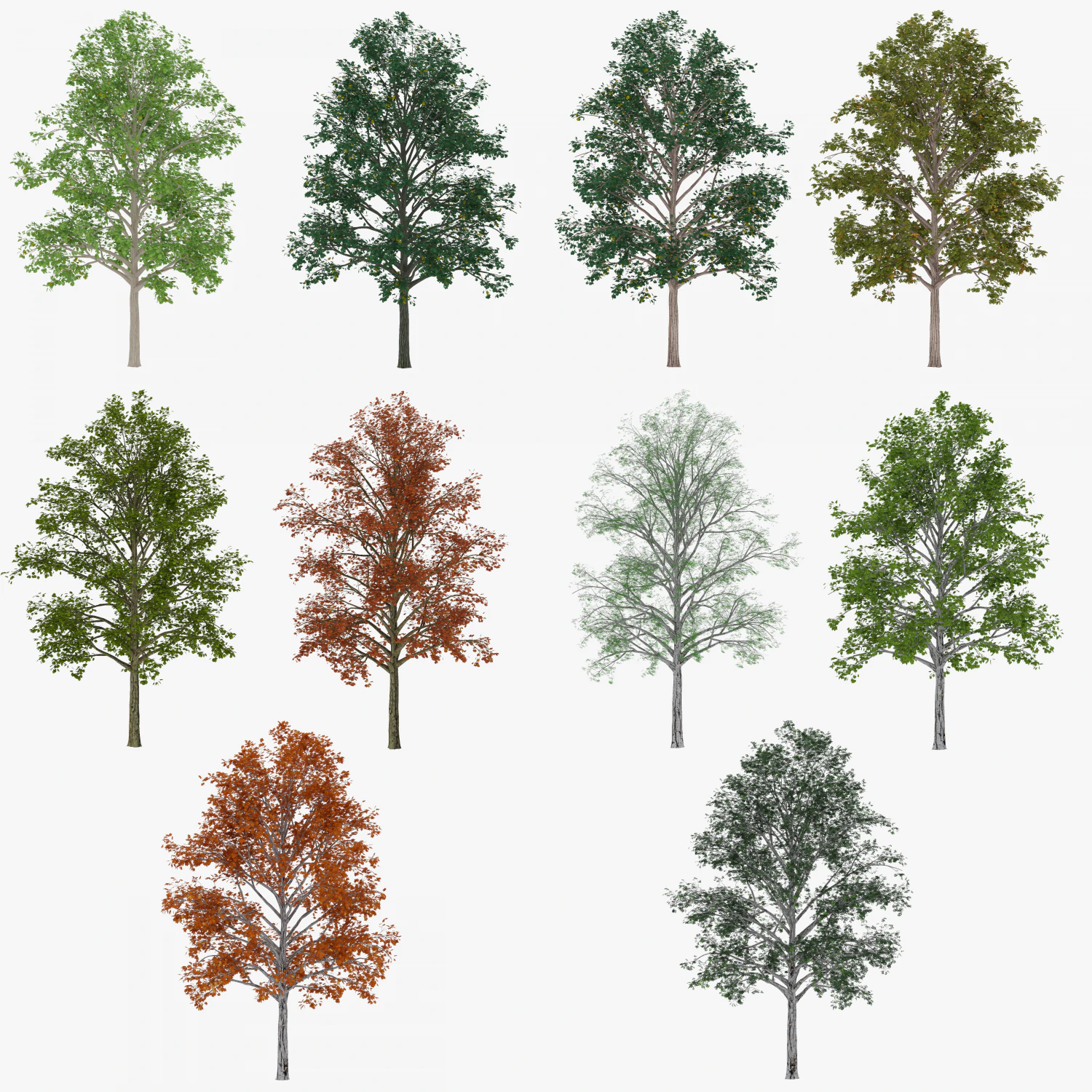 tree 2 3D Model .c4d .max .obj .3ds .fbx .stl .blend 