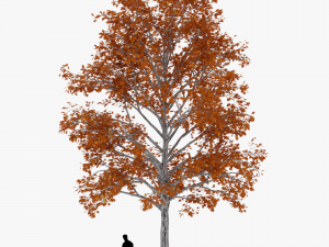 tree 2 3D Model