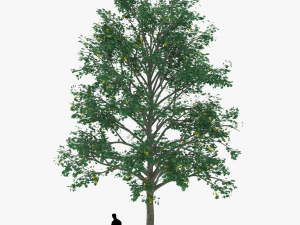 tree 2 3D Model