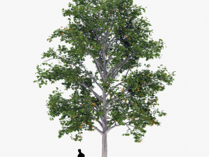 tree 2 3D Model
