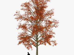 tree 2 3D Model