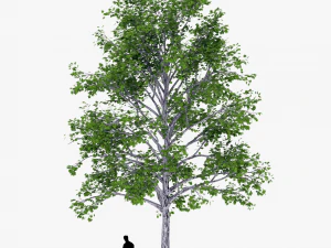 tree 2 3D Model