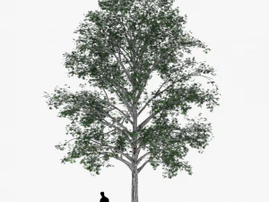 tree 2 3D Model