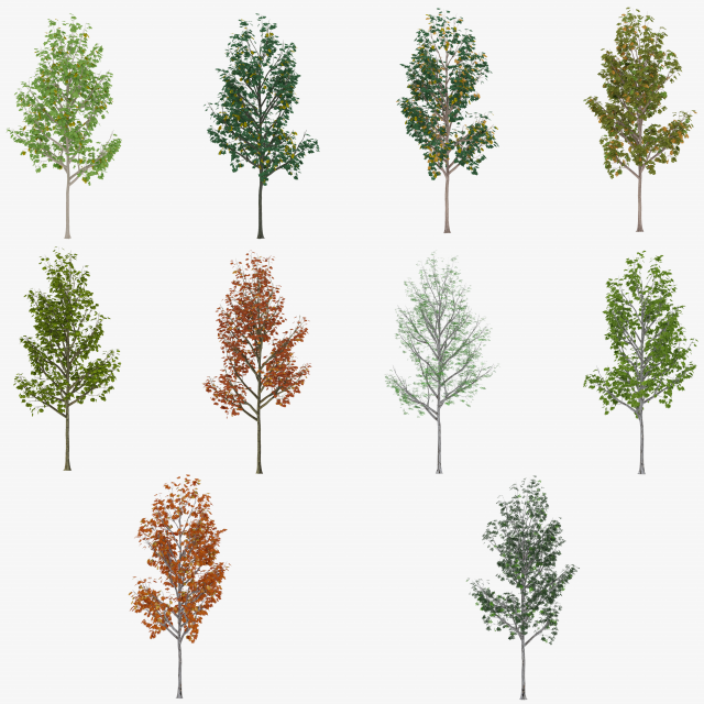 tree 3 3D Model .c4d .max .obj .3ds .fbx .stl .blend 
