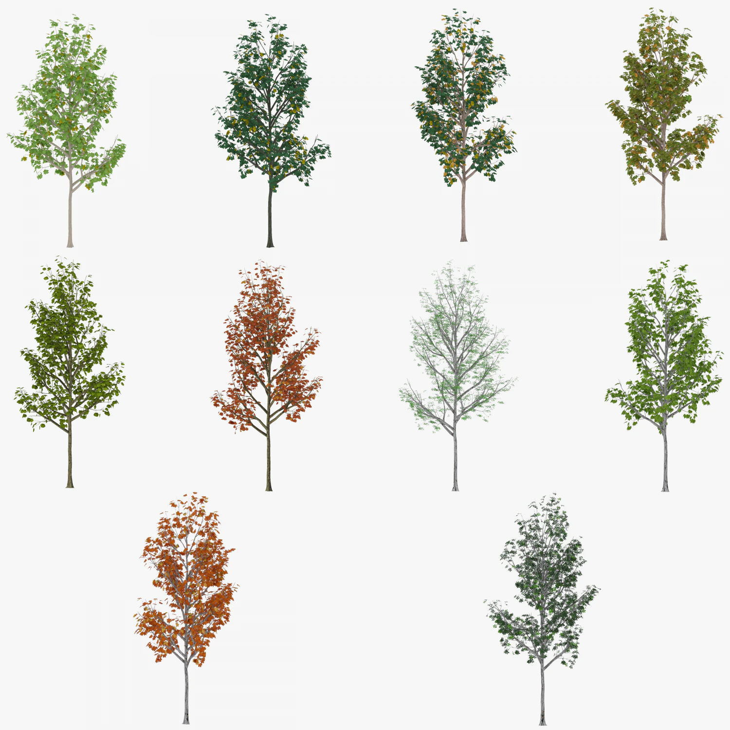 albero 3 Modello 3D .c4d .max .obj .3ds .fbx .stl .blend 