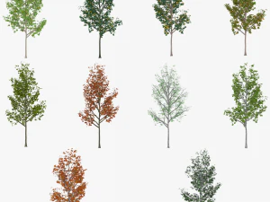 &aacute;rvore 3 Modelo 3D