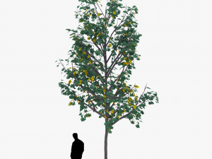 tree 3 3D Model