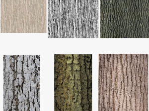 tree 3 3D Model