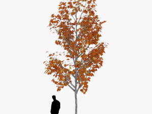 tree 3 3D Model