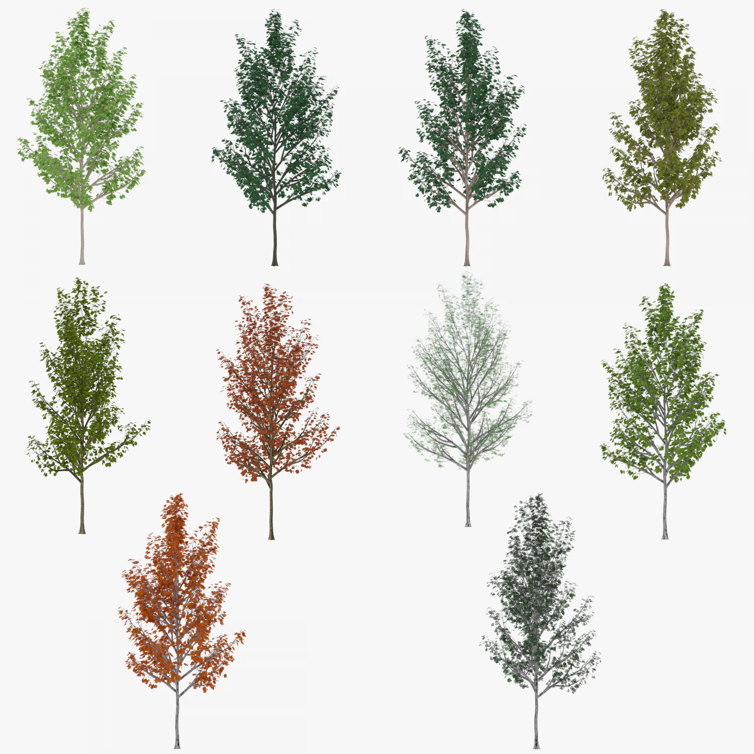 tree 4 3D Model .c4d .max .obj .3ds .fbx .stl .blend