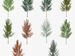 &aacute;rvore 4 Modelo 3D